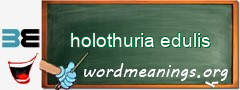 WordMeaning blackboard for holothuria edulis
